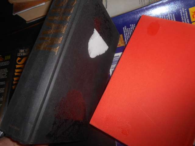 Two Eric van Lustbader books:  SHAN &  JIAN hardbacks