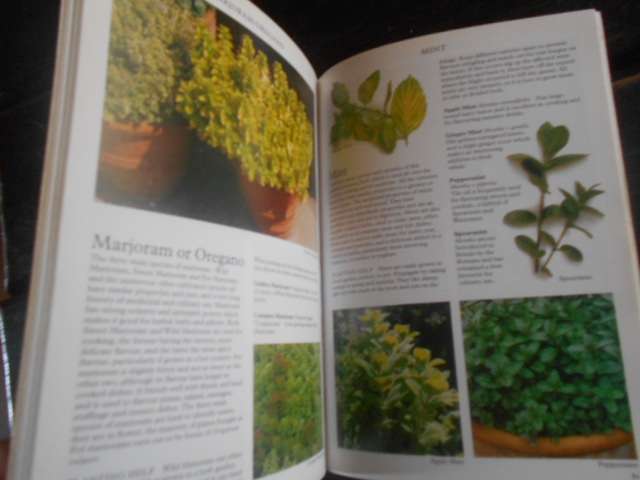 Salad Plants for your garden - (how to grow them)  Roger Phillips & Martyn Rix