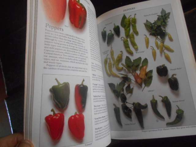 Salad Plants for your garden - (how to grow them)  Roger Phillips & Martyn Rix