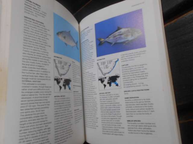 Rudy van der Elst - GUIDE TO COMMON SEA FISHES SOUTHERN AFRICA ILLUS SOFTB. 1993 updated