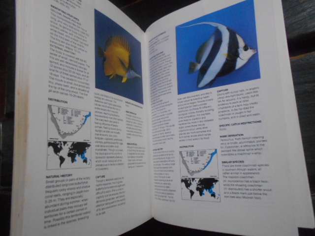 Rudy van der Elst - GUIDE TO COMMON SEA FISHES SOUTHERN AFRICA ILLUS SOFTB. 1993 updated