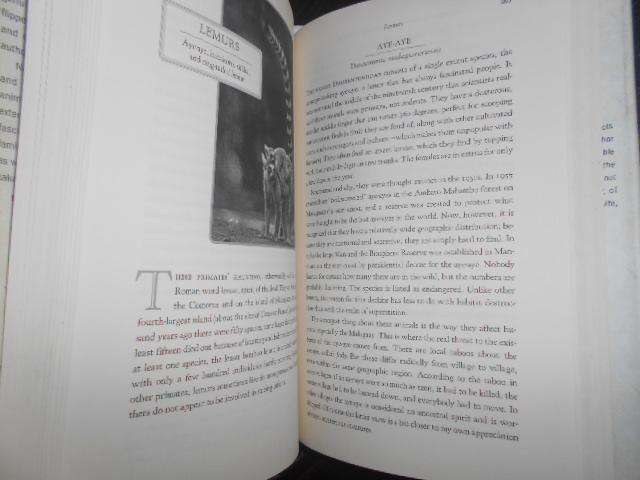 ALTRUISTIC ARMADILLOS, ZENLIKE ZEBRAS Jeffrey Moussaieff Masson 2006 first ed.