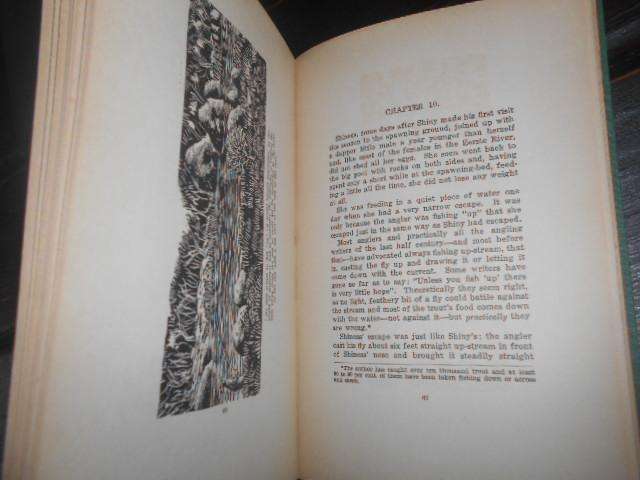 Shiny and Shiness : a tale - male & female rainbow trout Eerste River illus. P Williams