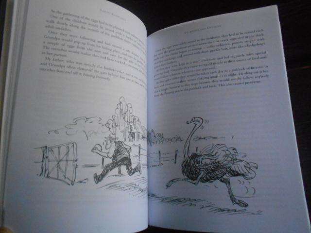 KAROO RAMBLINGS - DAVID BIGGS SHORT STORIES &TALL TALES ILLUS T GROGAN 2004 softback