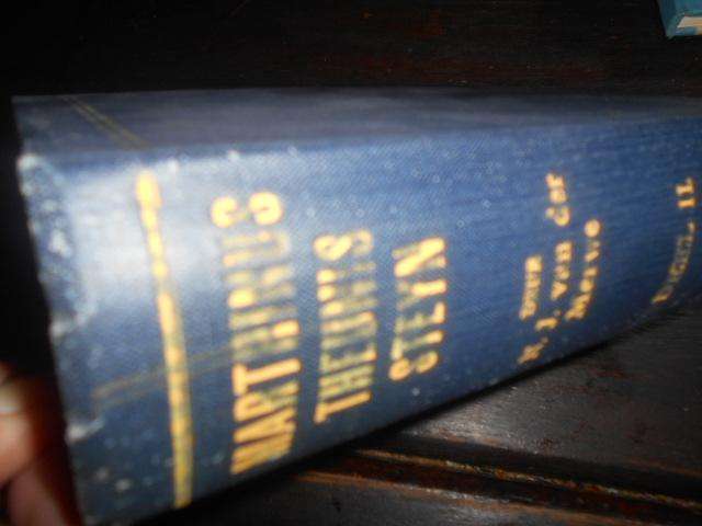 MARTHINUS THEUNIS STEYN N` LEWENSBESKYWING DEUR N.J. VAN DER MERWE  DEEL 2 1921