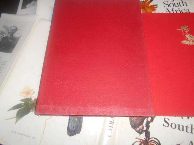 2 Kenneth Newman stunning colour art llus hardback books by author  Garden Birds & Birdlife of SA