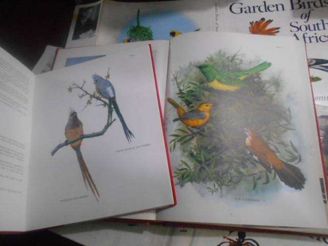 2 Kenneth Newman stunning colour art llus hardback books by author  Garden Birds & Birdlife of SA