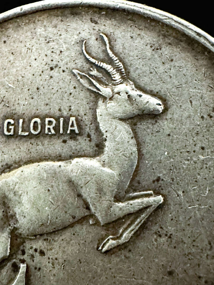 1966 Silver R1 Tagged Ear