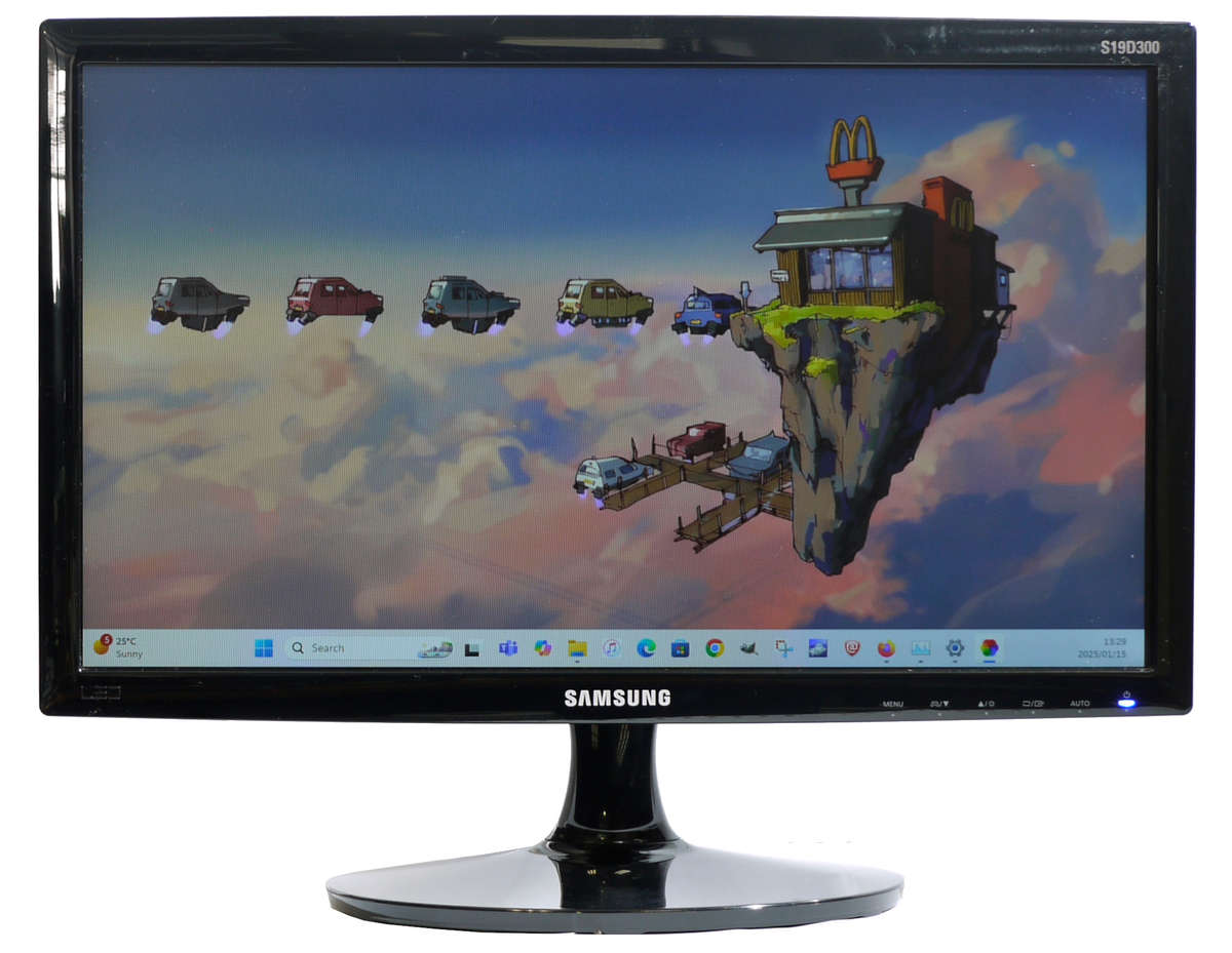 Samsung S19D300NY 19 inches LED Monitor VGA