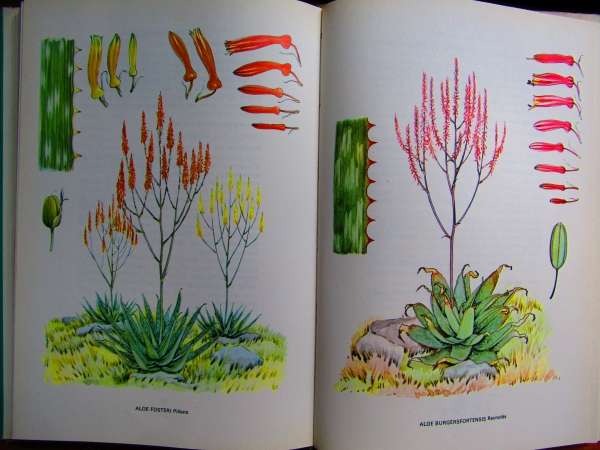 Aloe Book