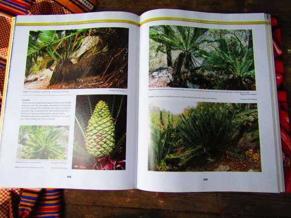 Cycad books