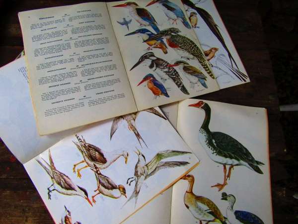 Bird books