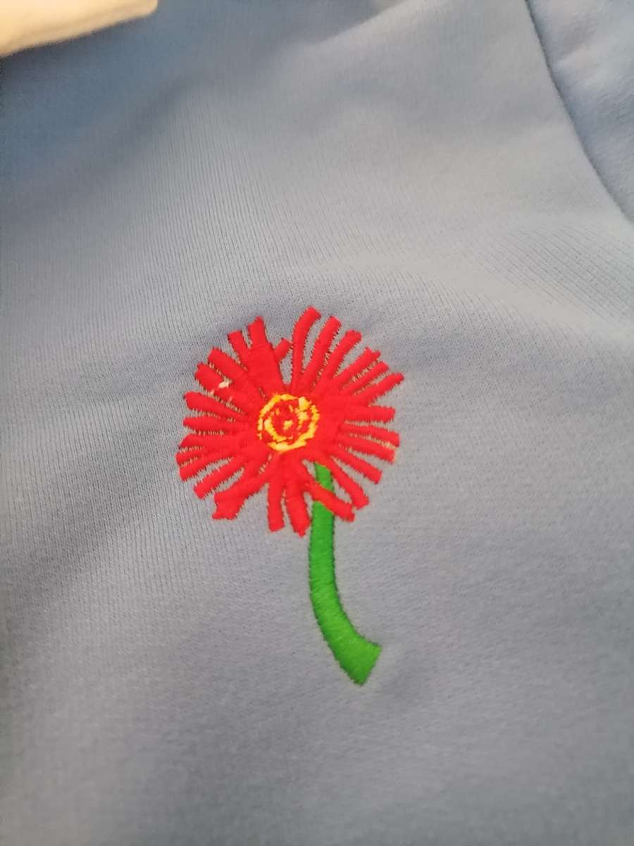 NORTHERN TRANSVAAL RUGBY JERSEY 9 - 10 years - Long Sleeve - Brand New - MADE BY Retro Ruppy