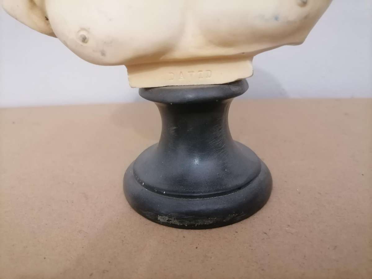 Vintage 1930's - 1960's Mid century David bust sculpture A Santini made in Italy - Signed - 24 CM