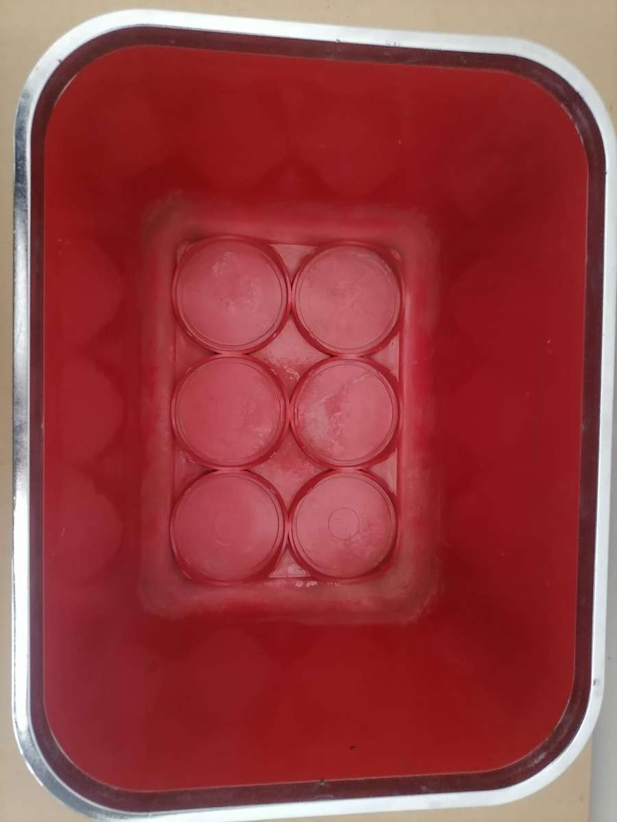 Vintage BUDWEISER Red & Chrome Hard Plastic Six Pack Cooler server