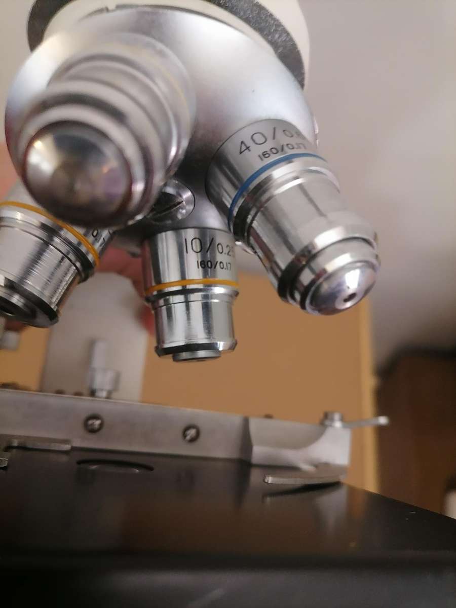 Electron Microscope - WFIOX 11 MM - 100% WORKING