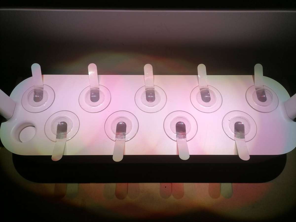 CLICK AND GROW Smart Garden 9 Indoor Gardening Kit - 100% WORKING