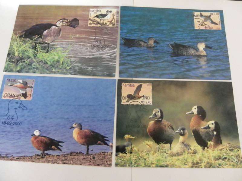 Namibia 3.21 (2000) - Ducks of Namibia Maxicard Set