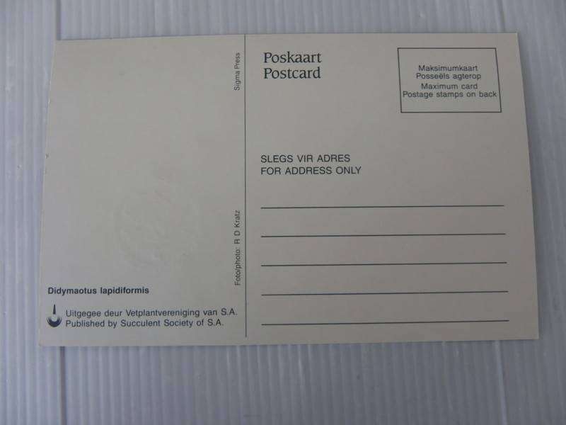 RSA 5th Definitive Series (1988) - Succulents 10c Maxicard