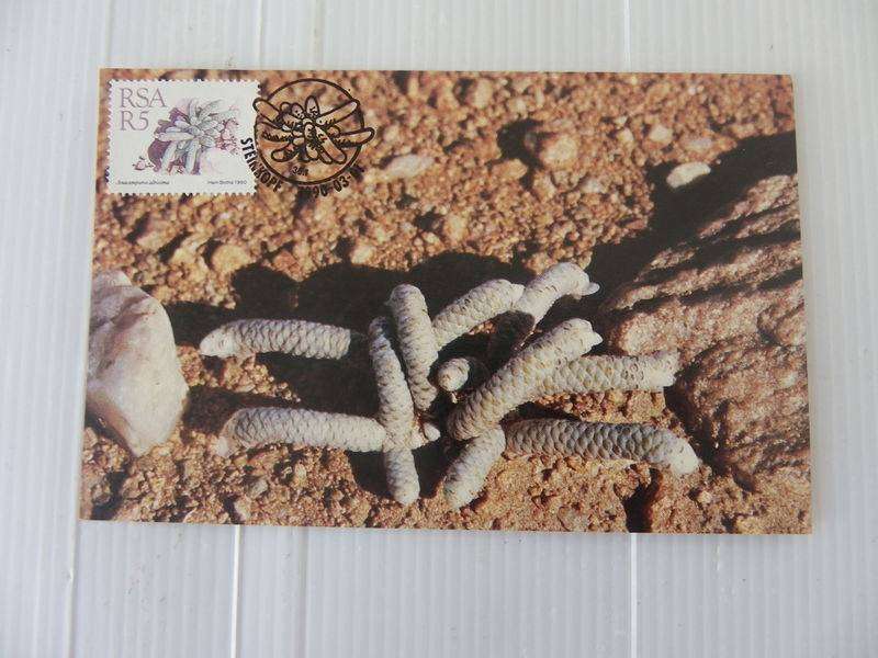 RSA 5th Definitive Series (1988) - Succulents R5 Additional Value Maxicard