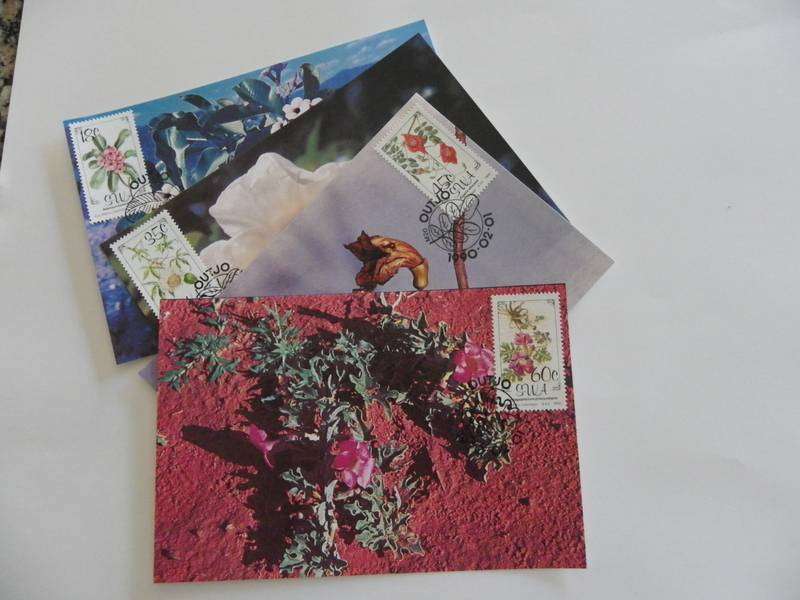 SWA 4.02 (1990) - Flora of SWA Maxicard Set