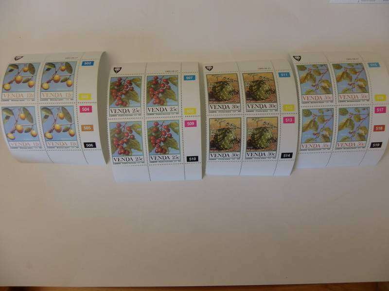 Venda 1.24 (1985) - Food from the Veld Mint Control Block set