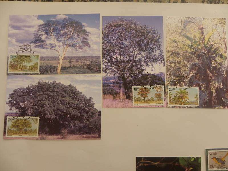 Venda 2.24 (1991) - Indigenous Trees Maxicard Set