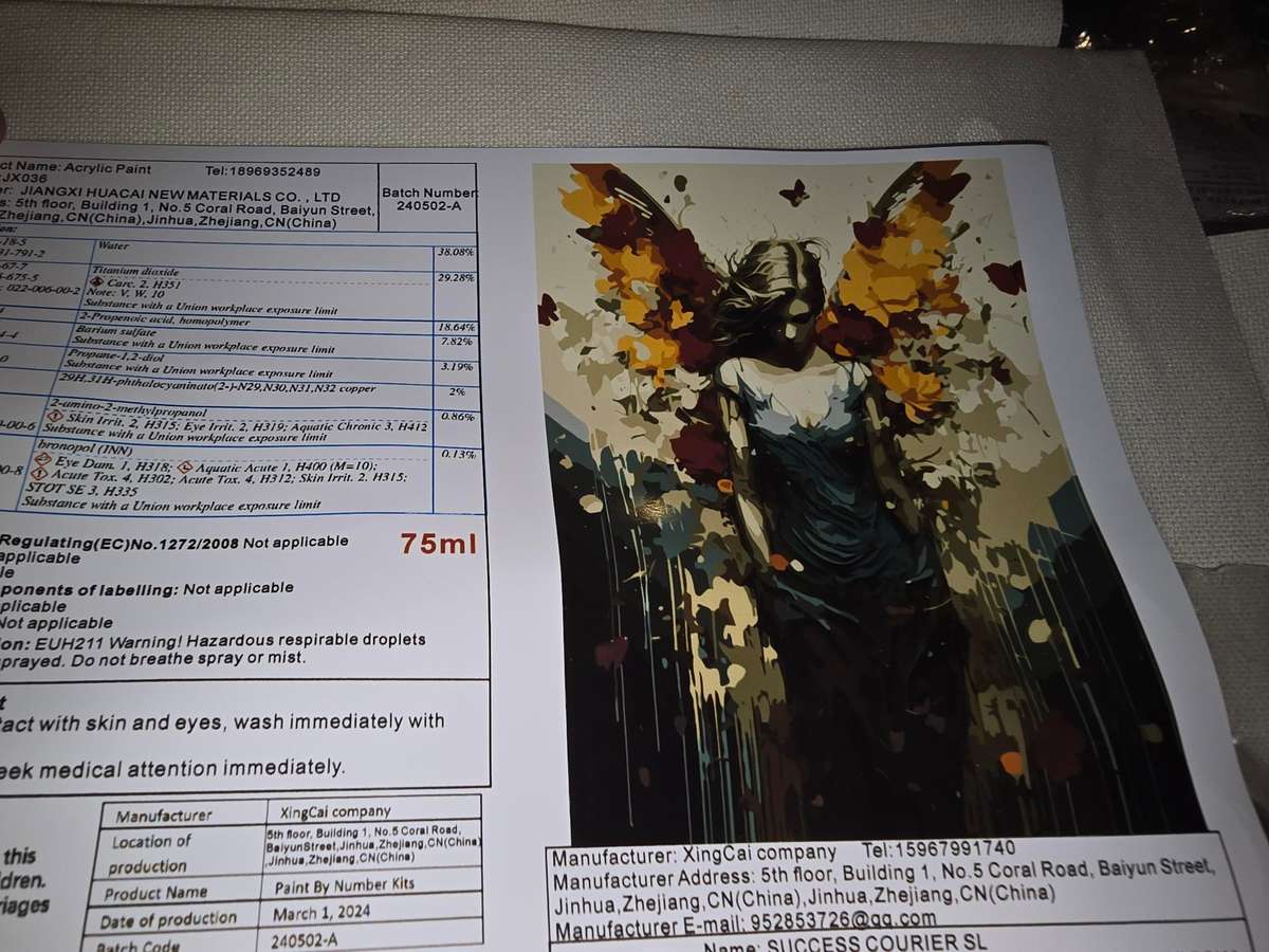 Paint By Numbers - Canvas, Paint - Angel Girl