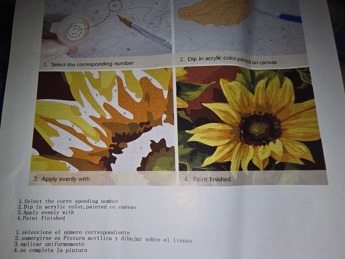 Paint By Numbers - Canvas, Paint - Sunflower