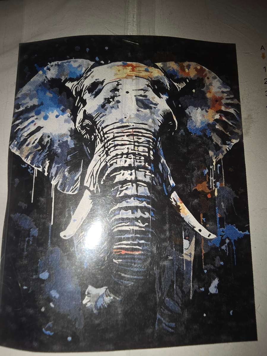 Paint By Numbers - Canvas, Paint - Elephant