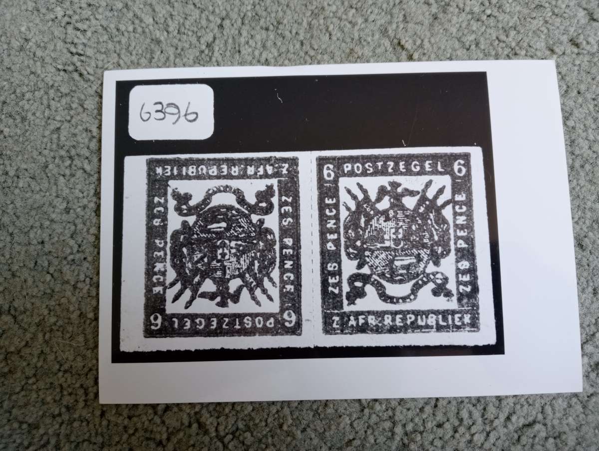 TRANSVAAL-NICE LARGE PHOTO OF A TVL TETEBECHE PAIR-REF.ITEM