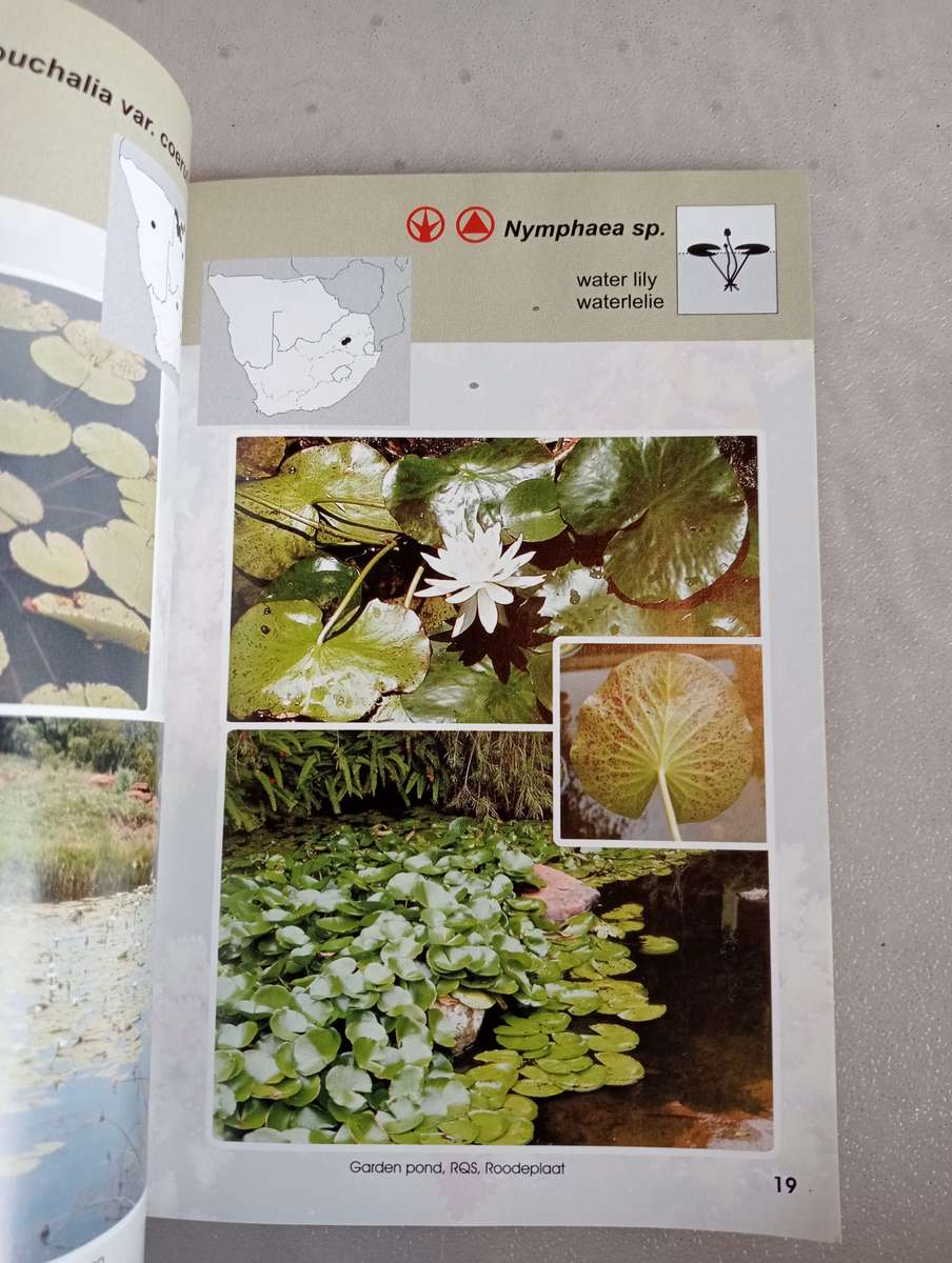 MANY  SIGNED BOOKS ON AUCTION TODAY-SOME VERY SCARCE " SCARCE  AQUATIC`S PLANTS BOOK "