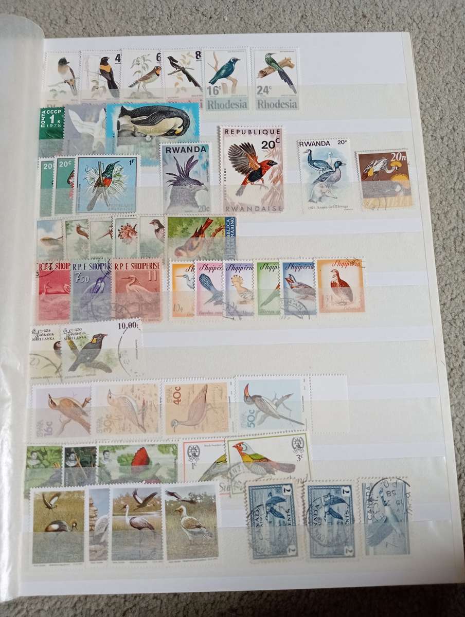 BIRDS AND MORE BIRDS SETS ETC   TWO FULL STOCK PAGES   " ANY BUY NOW`S GETS FREE GIFTS "SEE BELOW