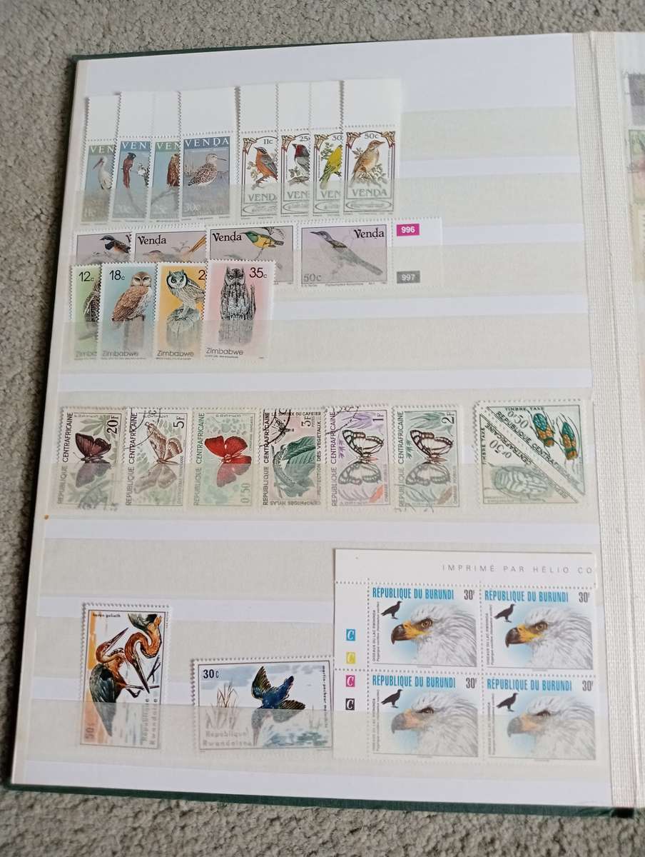 BIRDS AND MORE BIRDS SETS ETC   TWO FULL STOCK PAGES   " ANY BUY NOW`S GETS FREE GIFTS "SEE BELOW