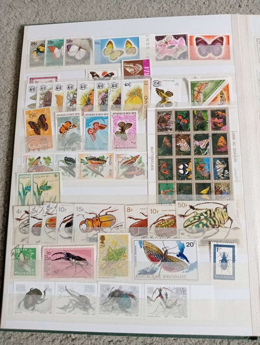 BUTTERFLIES ETC SETS ETC   TWO FULL STOCK PAGES   " ANY BUY NOW`S GETS FREE GIFTS "SEE BELOW