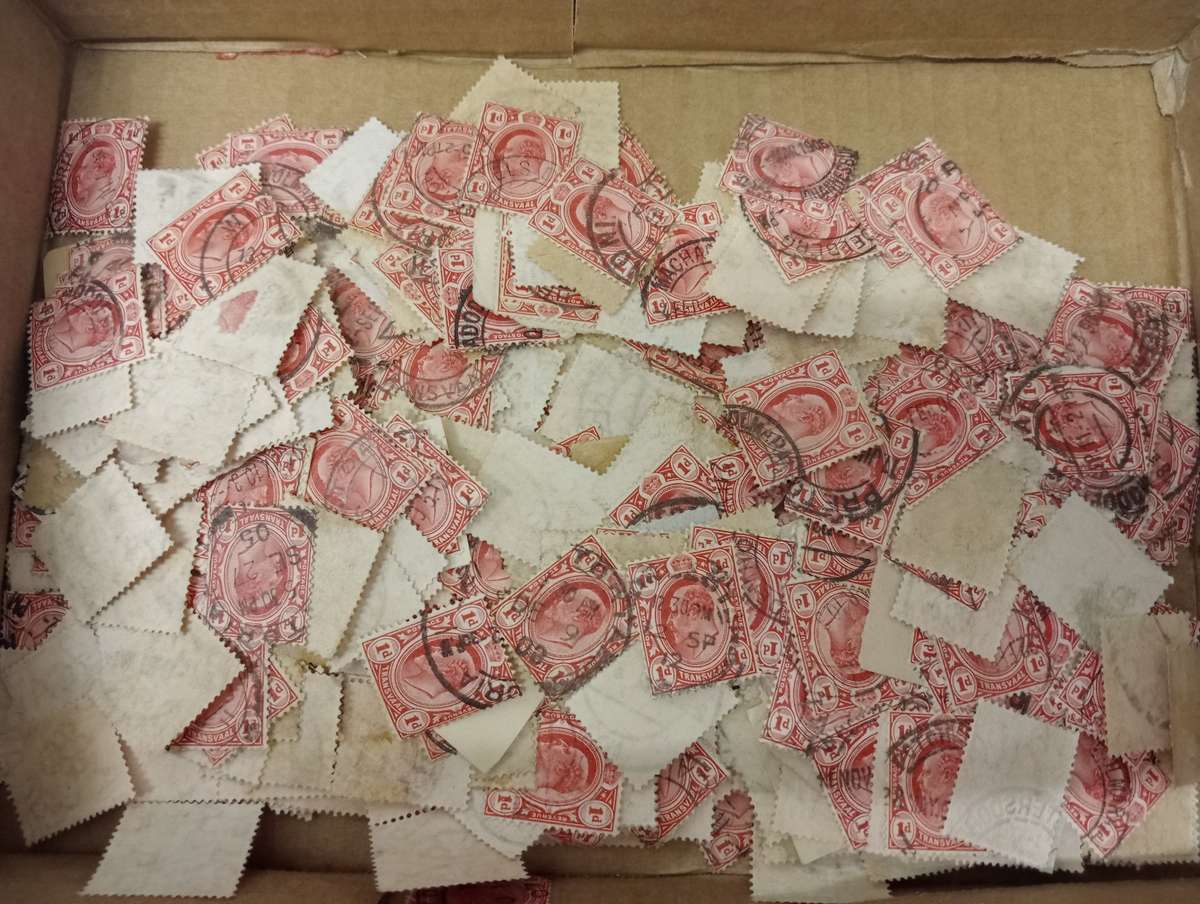 TRANSVAAL   1000`s OF VFU PENNIES-RESEARCH LOT 1 BOX AND 3 PACKETS