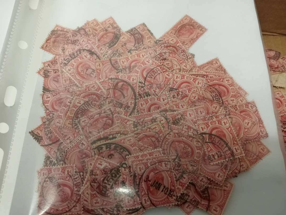 TRANSVAAL   1000`s OF VFU PENNIES-RESEARCH LOT 1 BOX AND 3 PACKETS