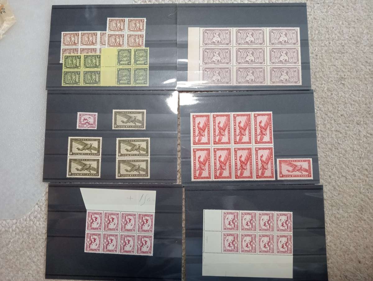 INDOCHINA-SUPERB UMM BLOCKS