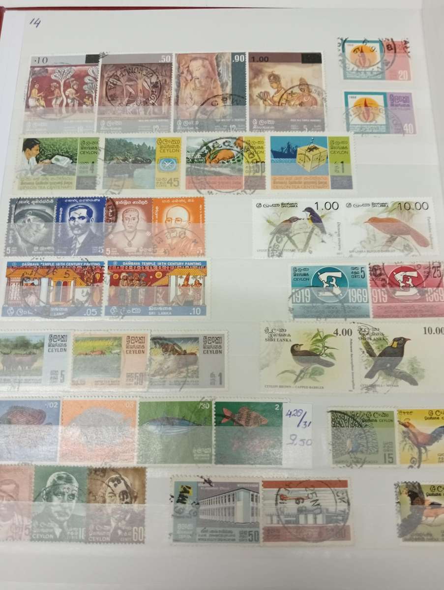 Thematics-UMM/Used Birds, Paintings, Buildings