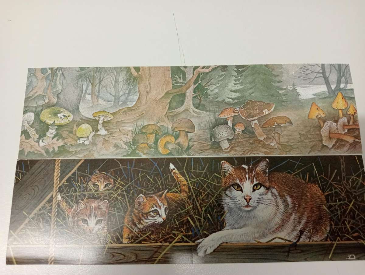 BELGIUM-TWO very fine booklets CATS AND MUSHROOMS   R530.00