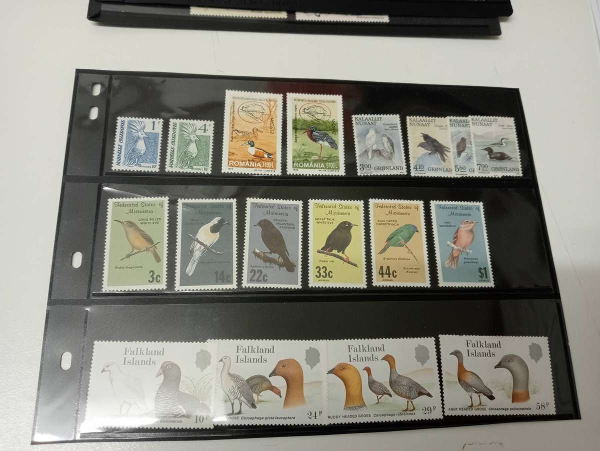 BIRDS-SOME DIFFICULT LOTS HERE-FILL SOME gaps