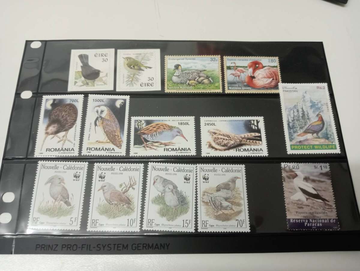 BIRDS-SOME DIFFICULT LOTS HERE-FILL SOME gaps