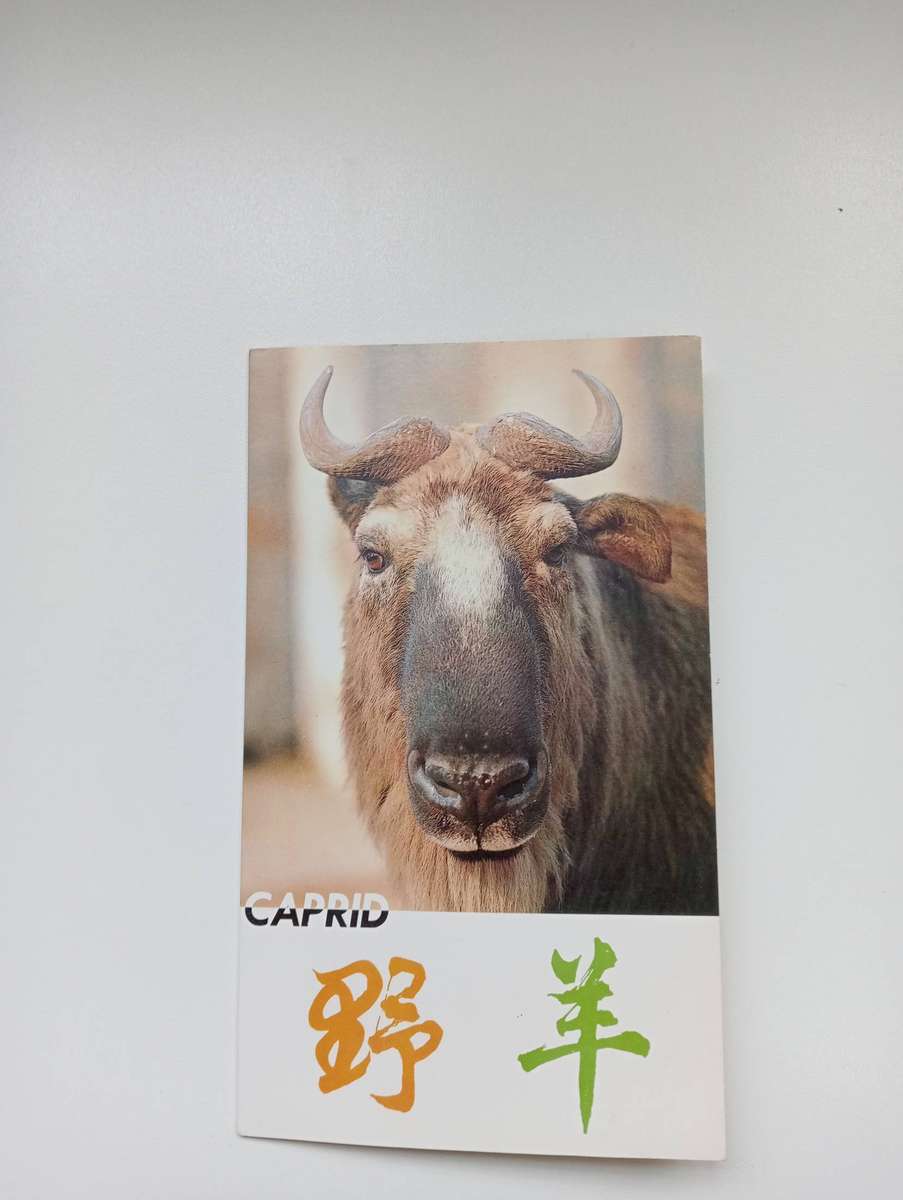 CHINA-SCARCE CARD vfu