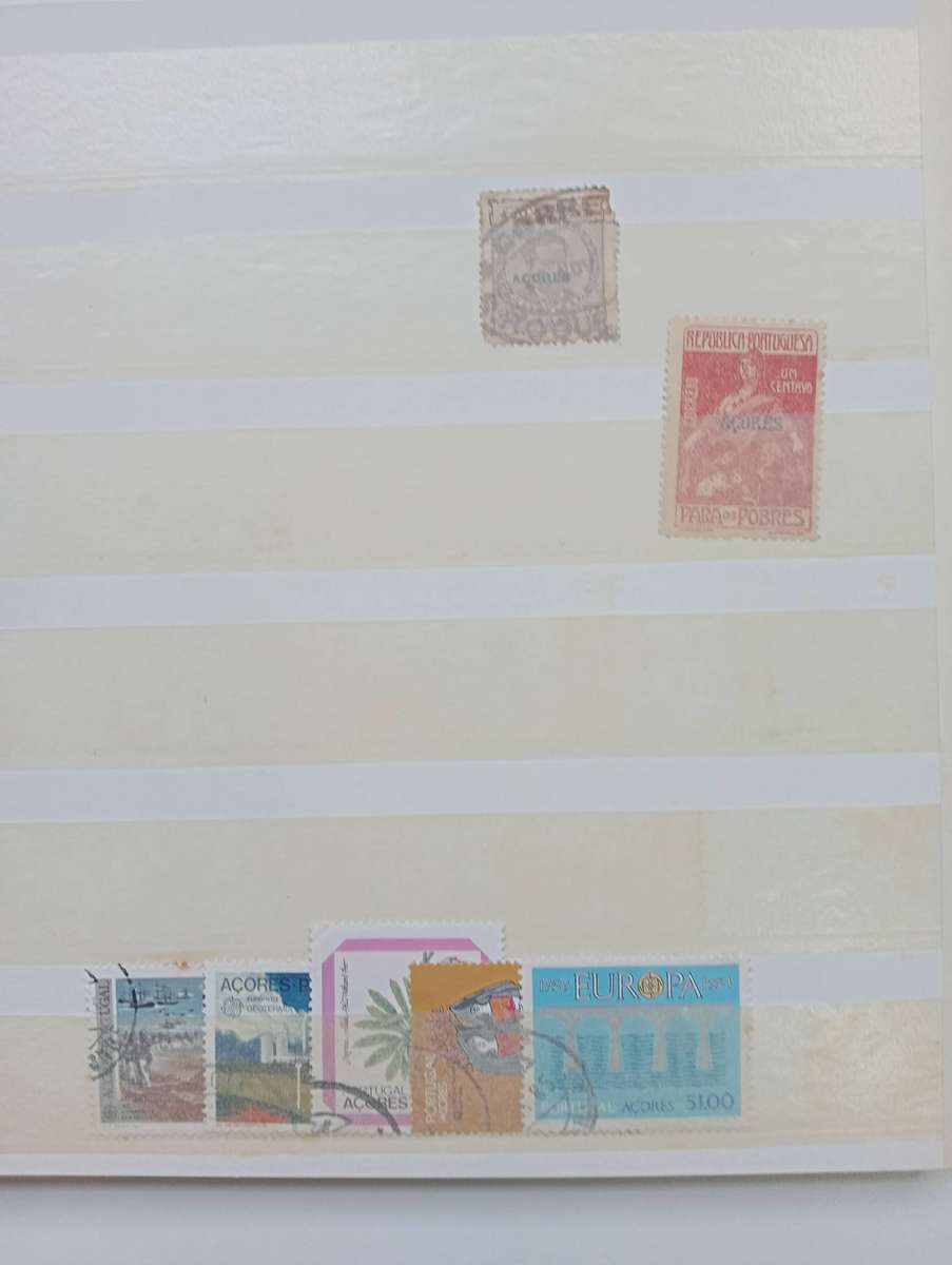 STOCK BOOK- TIMOR ETC