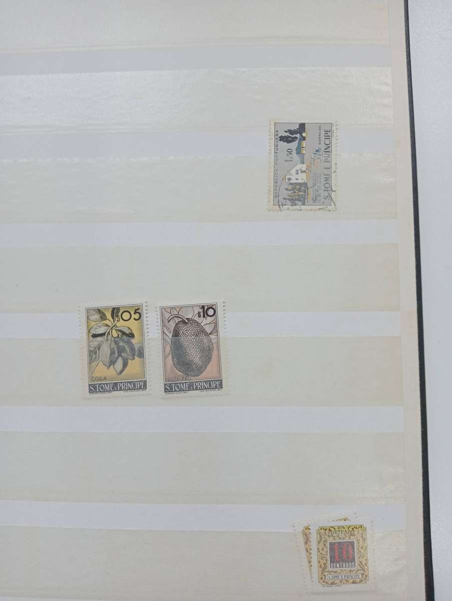 STOCK BOOK- TIMOR ETC