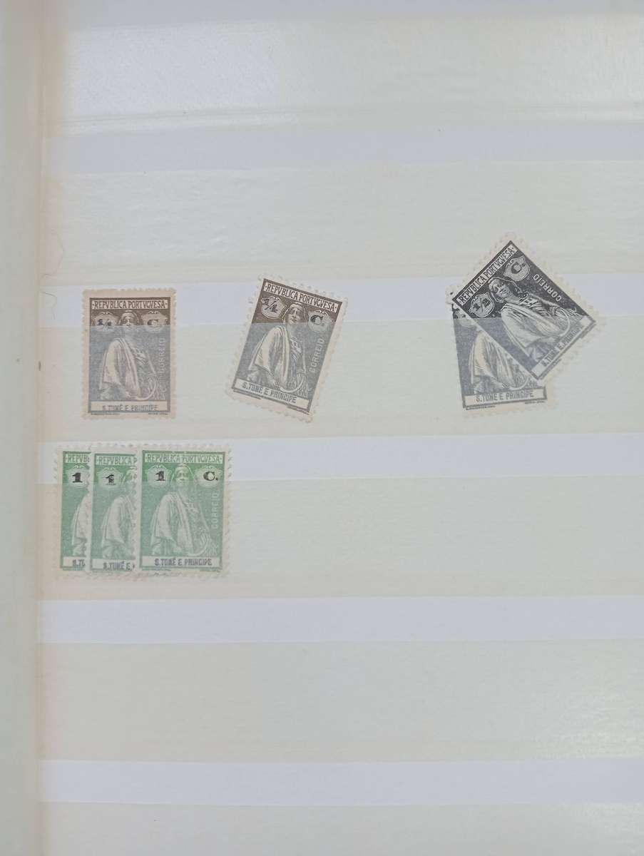 STOCK BOOK- TIMOR ETC