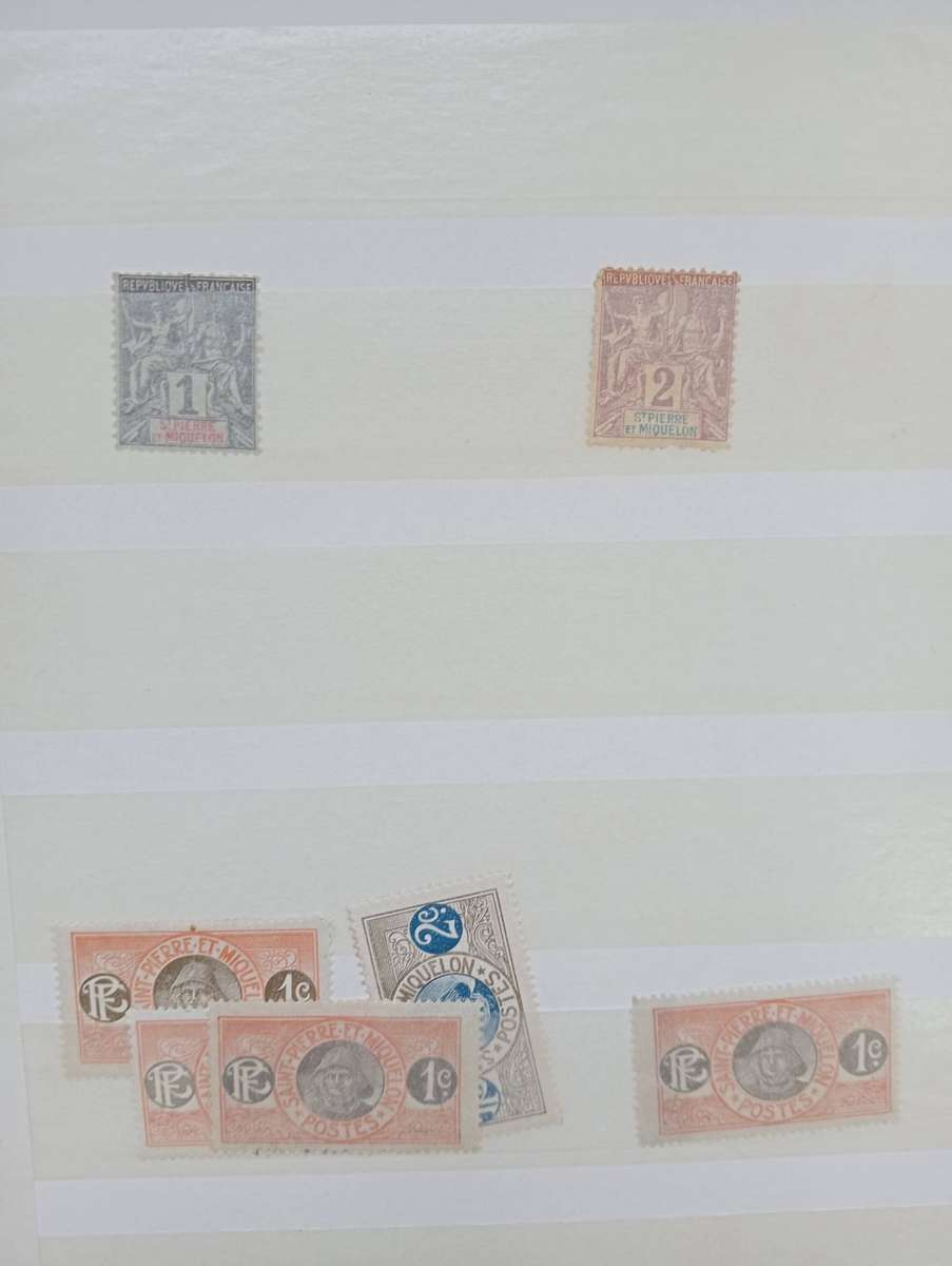 STOCK BOOK- TIMOR ETC