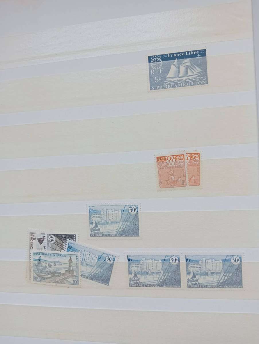 STOCK BOOK- TIMOR ETC