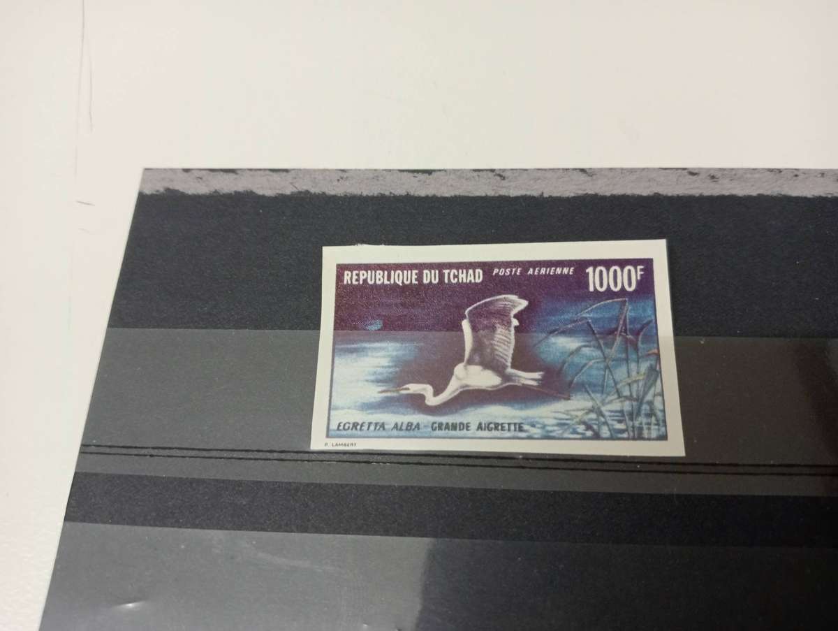 BIRDS     TOP VALUE IMPERF