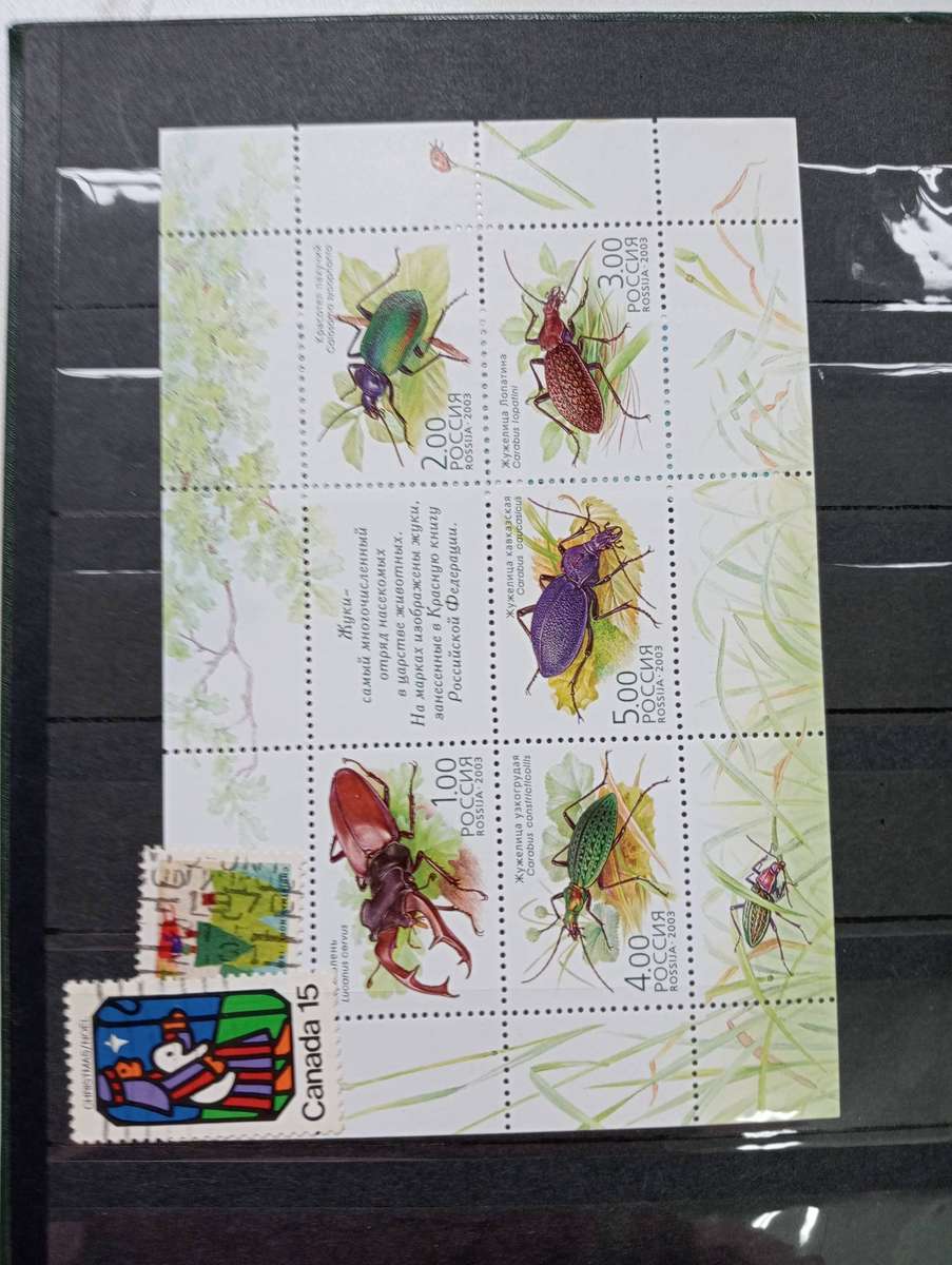 GREAT CLEAN STOCK BOOK UMM, THEMATICS and more